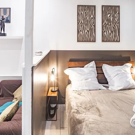 Smart Confort 8 - Studio Confort Et Style Lejlighed Troyes